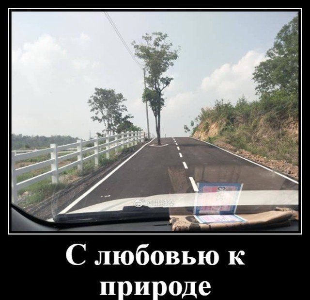 С любовью к природе
