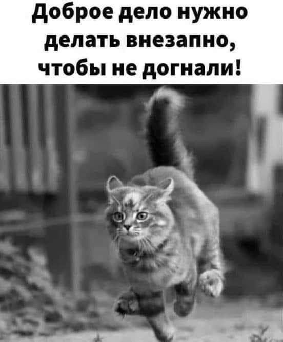 Доброе дело нужно делать внезапно чтобы не догнали