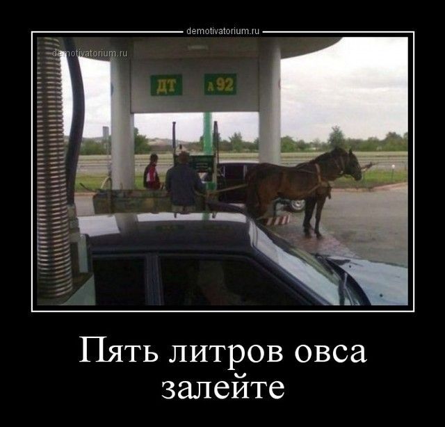 Пять литров овса залейте
