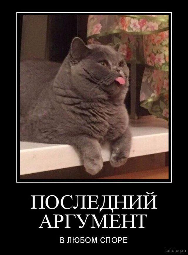 ПОСЛЕДНИЙ АРГУМЕНТ В ЛЮБОМ СПОРЕ
