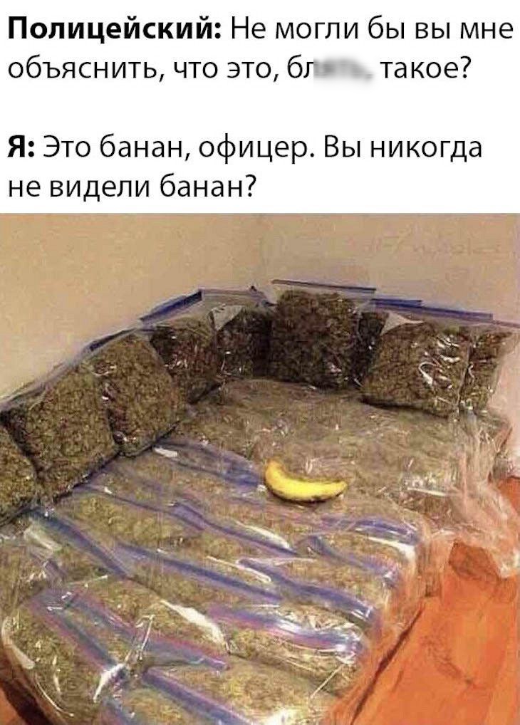 Полицейский Не могли бы вы мне объяснить что это блятм такое Я Это банан офицер Вы никогда не видели банан