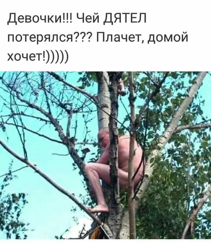 Девочки Чей ДЯТЕП потерялся Плачет домой