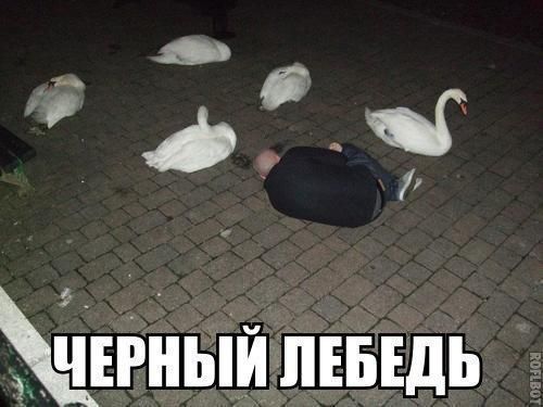 ь в ЁцгныЙпЕБшь