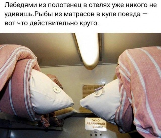 Лебедями ИЗ ПОПОТЕНЭЦ Е ОТЕПЯХ уже НИКОГО не удивишь Рыбы ИЗ матрасов Б КУПЕ поезда вот что действительно круто