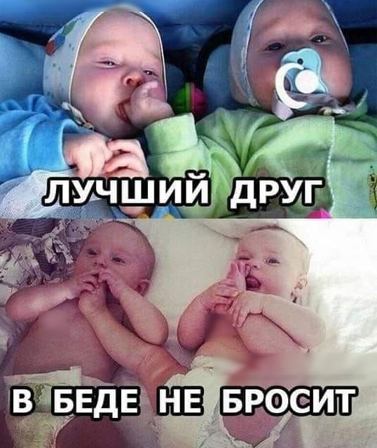 ГВ БЕдЕ ШЗ