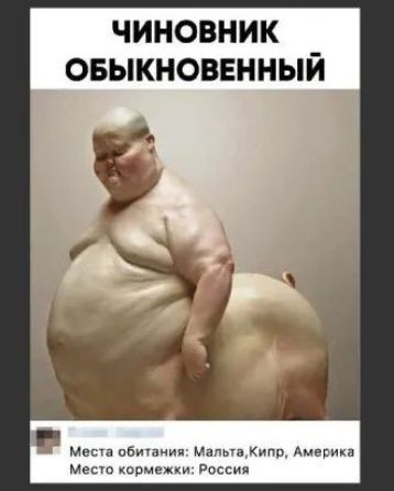 чиновник овыкновенный месіа сбив мп Мат пт Кипр Амесика мест кормежки Ро ия