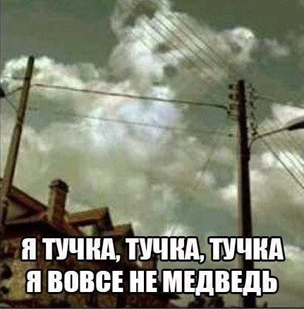 п пчіщ тучндёіичца вот и мшвшь