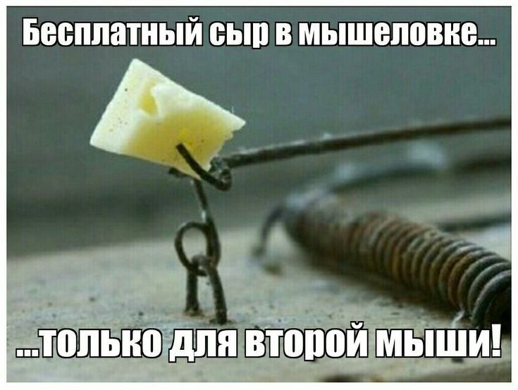 Бесплатный ПЫП В мышеловке