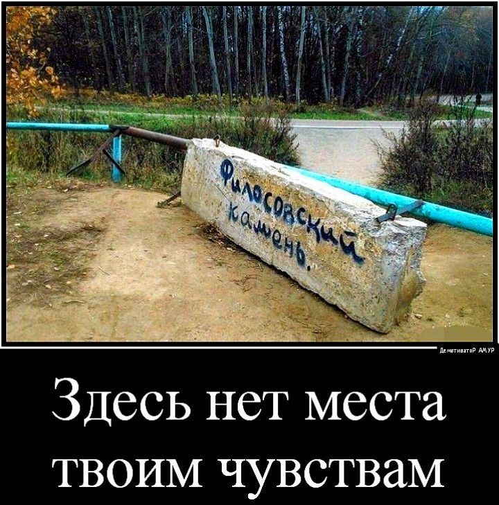Здесь нет места твоим чувствам