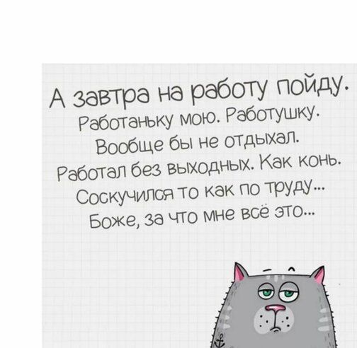А завтра на рабОТУ под РаббгаіЬКУ мою РЮОТуш Вообще бы не шдьмал Работал без вылодНЬМ Как конь то как по труду Боже за что это