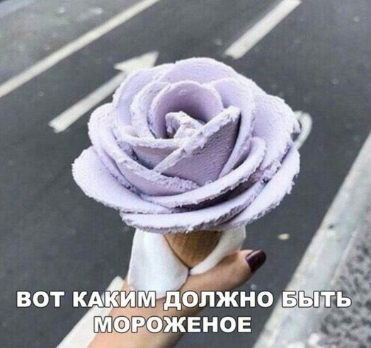 вот кдюим должно БЫТЁд У см мавоженоетё