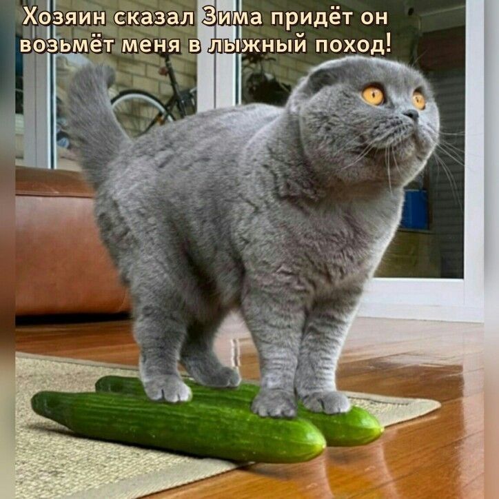 Хозяи сйзіал 3 ма придёт он эджный поход