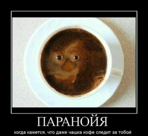 ПАРАНОЙЯ когда кажется чт даже чашки ЮФ спедиг тобпи