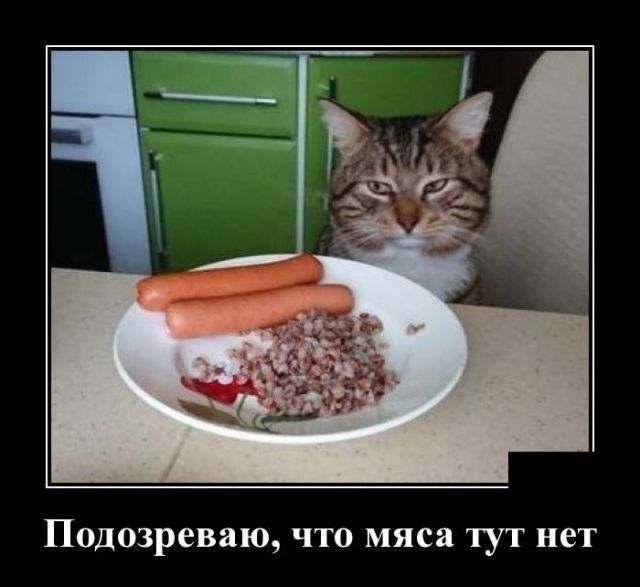 Подозреваю что мяса тут нет