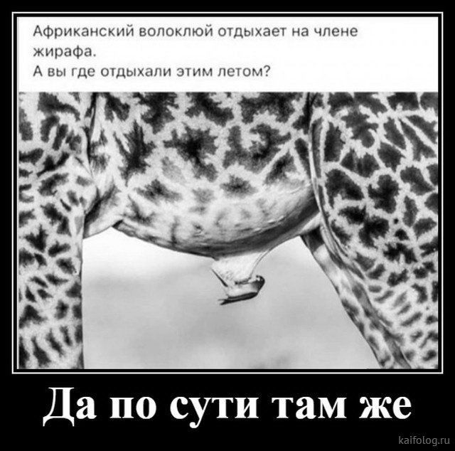 Да по сути там же