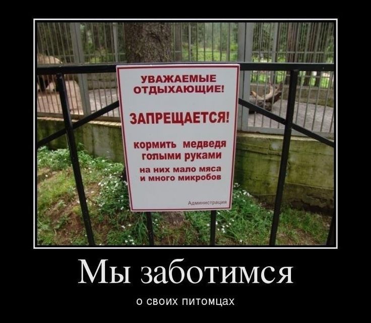 увджпмыг отдыхАющиЕ ЗАПРЕЩАЕТСЯ при минам юными руками З щ Мы заботимся о своих пиюмцах