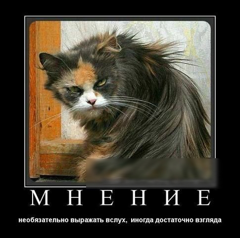 МНЕНИЕ побив запиши инршгь пс ук ииогдд двпппчип пгт да