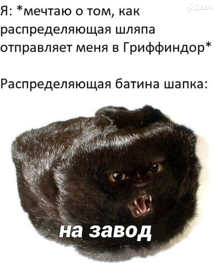 Я мечтаю о том как распределяющая шляпа отправляет меня в Гриффиндор Распределяющая батина шапка На завод