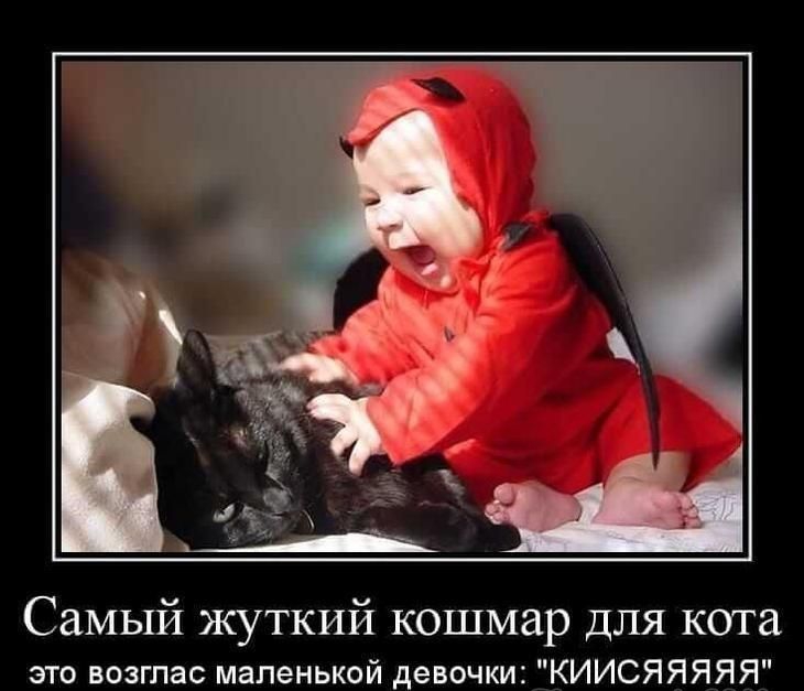Самьп71 жуткий кошмар для кота эго поэта маленькой девочки КИИСЯЯЯЯЯ