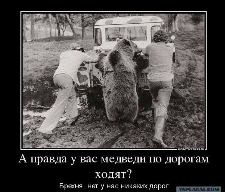 А правда у вас медведи по дорогам ходят Брехня нет у нас никаких дорог