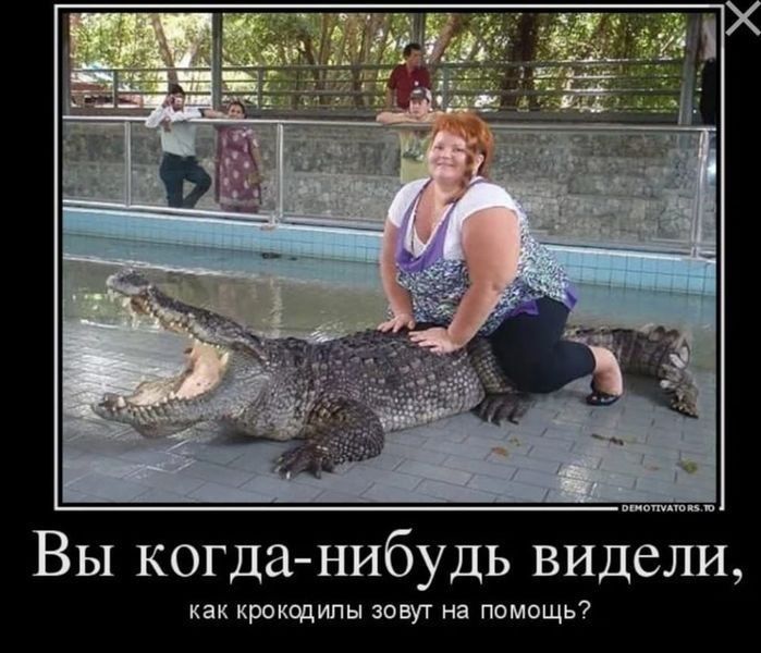 Вы когда нибудь видели как крокодилы зовут на помощь