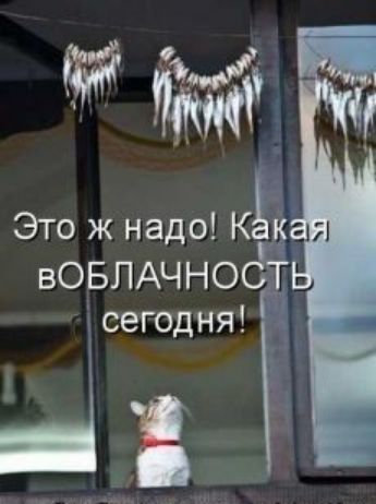Это ж надо КДК вовпАчнодт сегодня