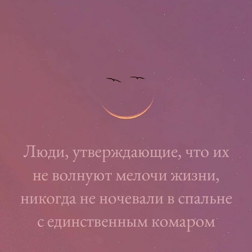 _ Люди утверждающе что их не волнуют мелочи жизни никогда не ночевали в спальне С ЕДИНСТВЕННЬЕМ КОМЗРОМ