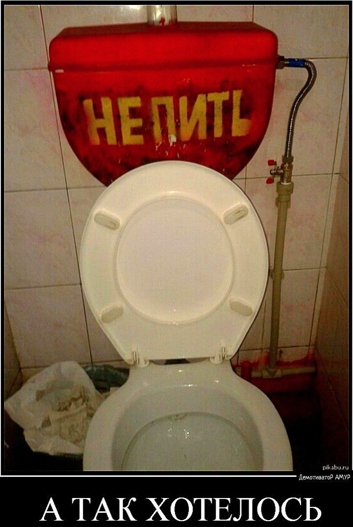 А ТАК ХОТЕЛОСЬ