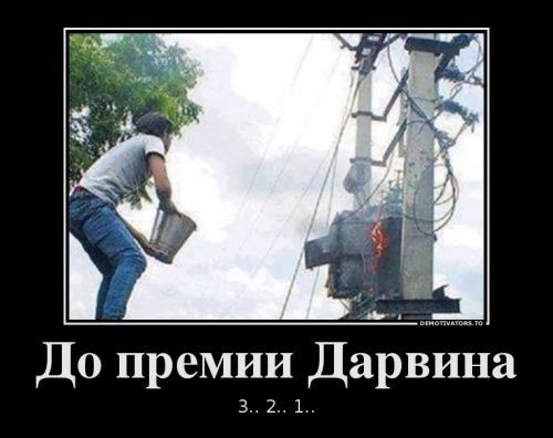 До премии ДарЁБЬа 321