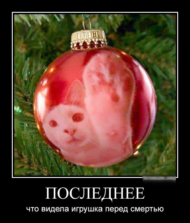 ПОСЛЕДНЕЕ что вида па игрушка перед смертью