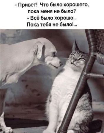 Привет Что было хорошего пока меня не было Всё было хорошо Пока тебя не было