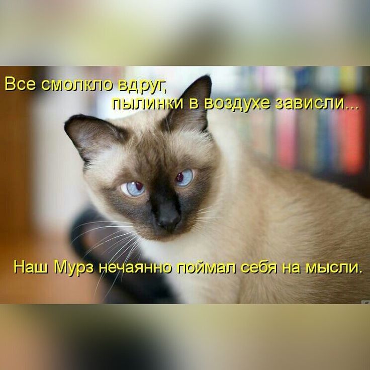 А МОПЮЮ ННОУ ПЫЛАі Г