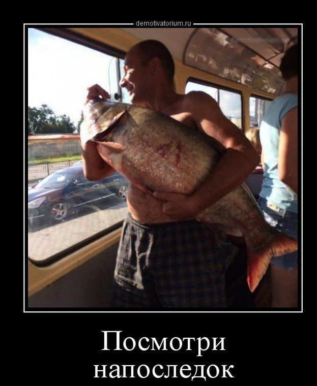 Посмотри напоследок