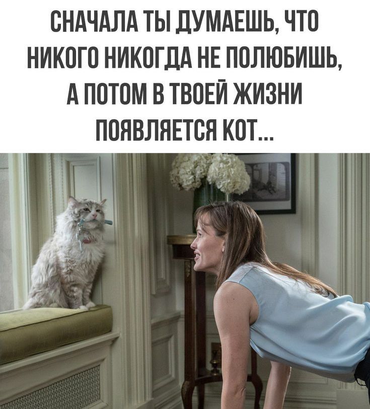 СНАЧАЛА ТЫ дУМАЕШЬ ЧТО НИКОГО НИКОГДА НЕ ПОЛЮБИШЬ А ПОТОМ В ТВОЕИ ЖИЗНИ ПОЯВЛНЕТОН КОТ Ъ