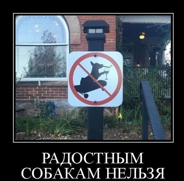 ЁЁ5шъг РАДОСТНЫМ СОБАКАМ НЕЛЬЗЯ