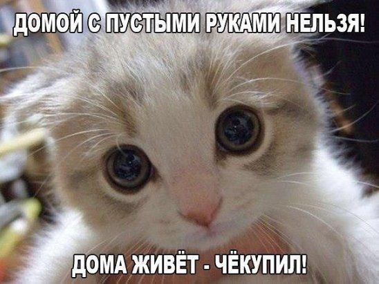 И