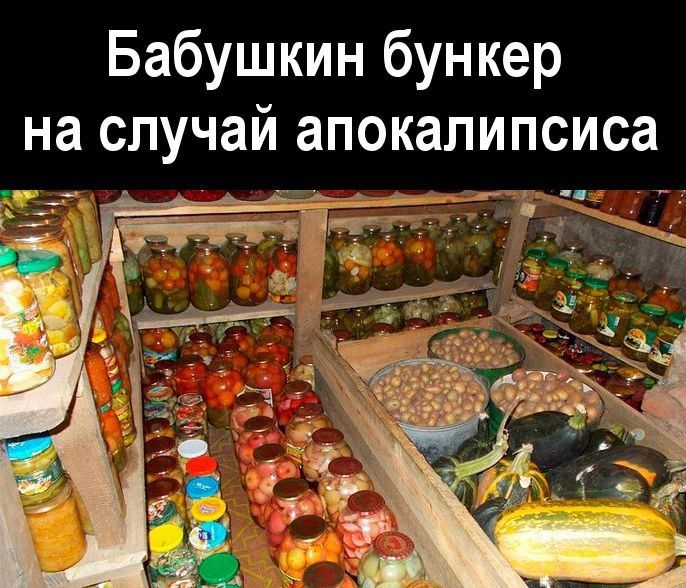 Бабушкин бункер на случай апокалипсиса
