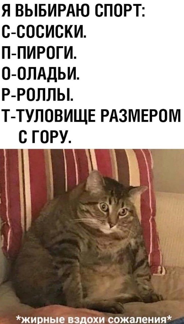 Я ВЫБИРАЮ СПОРТ С СОСИСКИ П ПИРОГИ О ОЛАДЬИ Р РОЛЛЫ Т ТУЛОВИЩЕ РАЗМЕРОМ ЖИВНЫЕ ВЗДОХИ сожаления