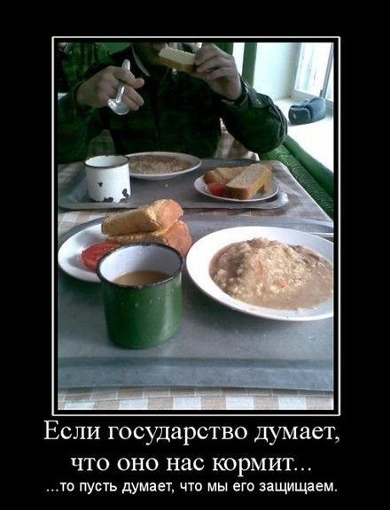 Если государство думает ЧТО ОНО нас КОРМИТ то пусть душит чта мы его защищаем