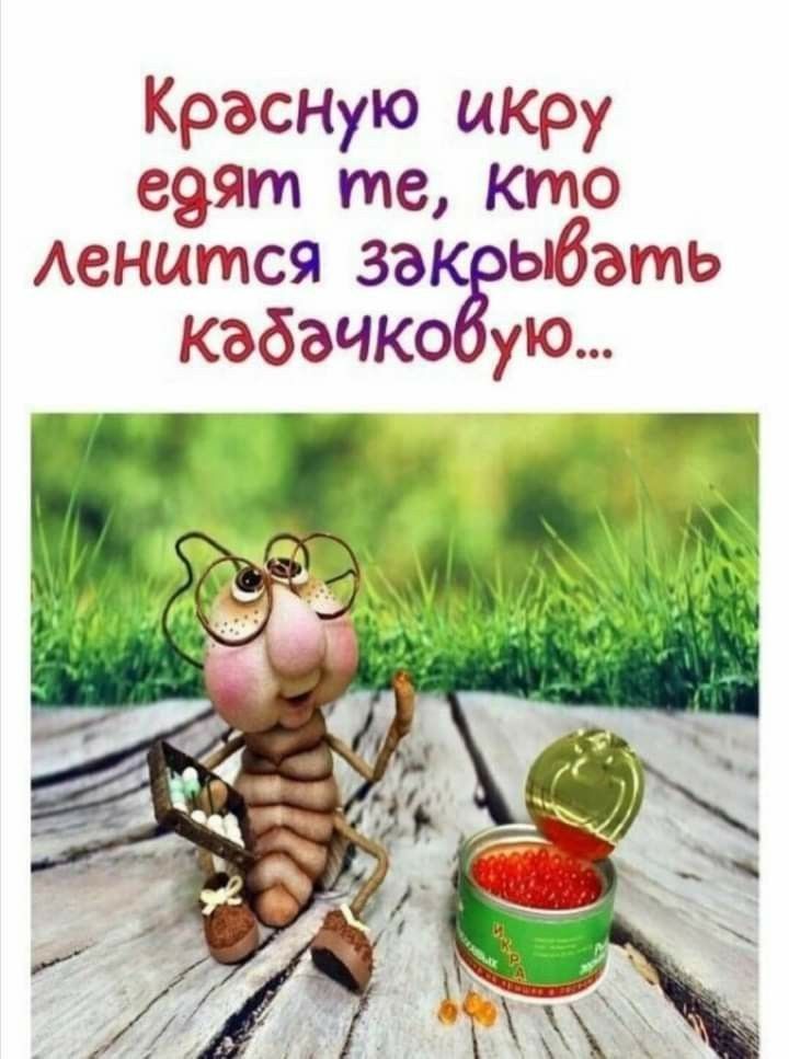 Красную цкРу свят те кто Аенится за ать кабачк ую