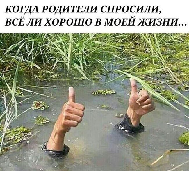 КОГДА РОДИТЕЛИ спросили всЁ ЛИ хорошо в МОЕЙ ЖИЗНИ