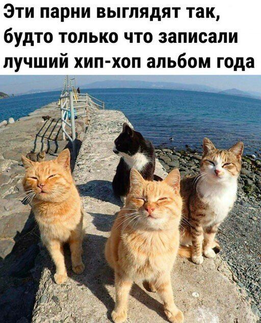 Эти парни выглядят так будто только что записали лучший хип хоп альбом года