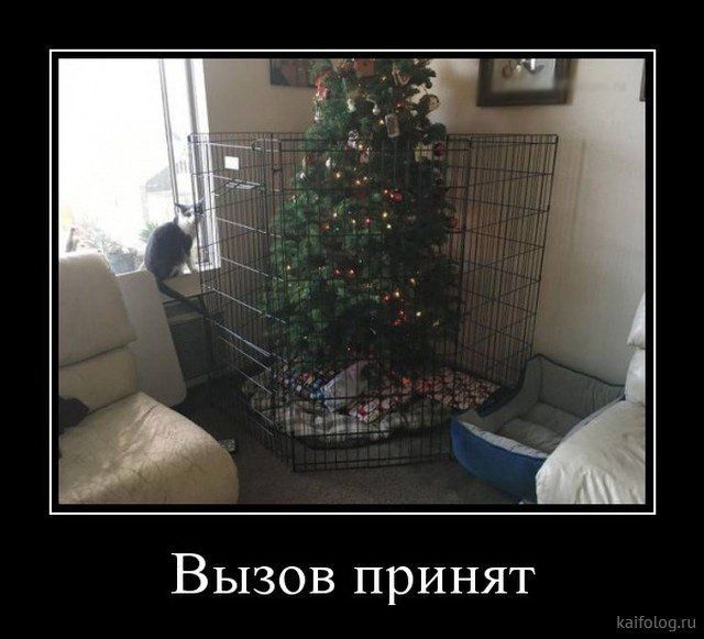 Вызов принят