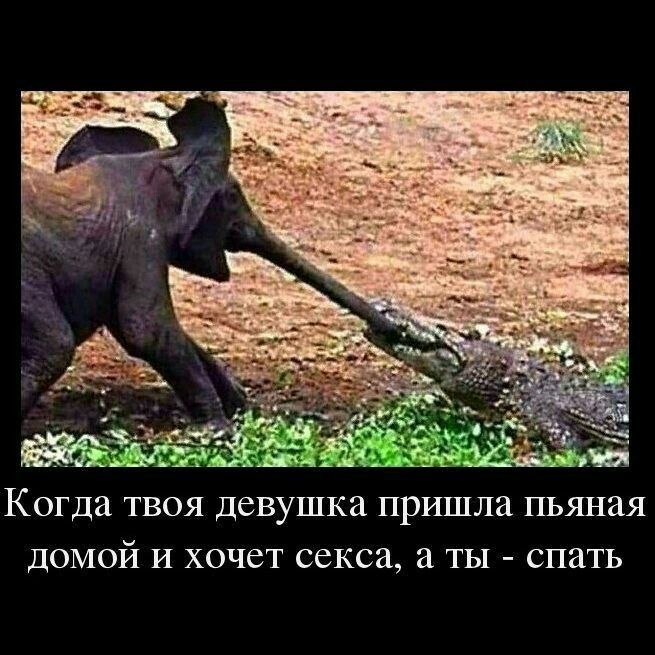 Когда ТВОЯ девушка ПРИШЛИ ПЬЯНЗЯ дОМОЙ И ХОЧСТ секса ТЫ СПЭТЬ