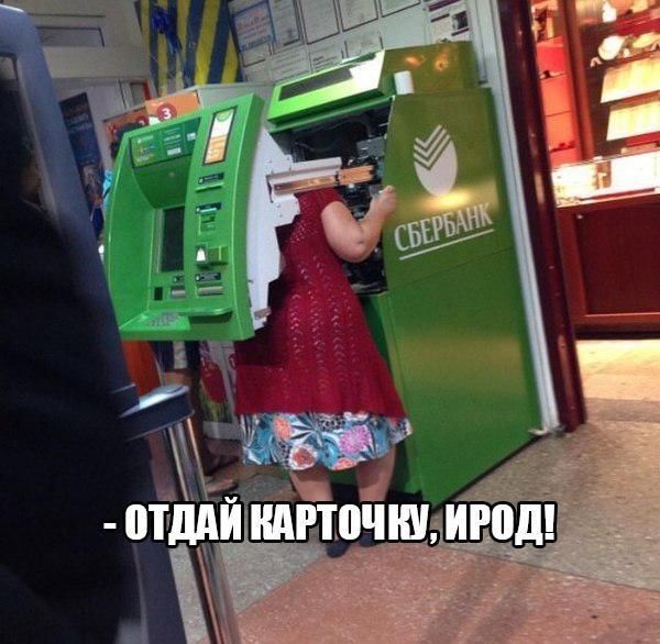 птдди КАРТОЧКУ ИРОД