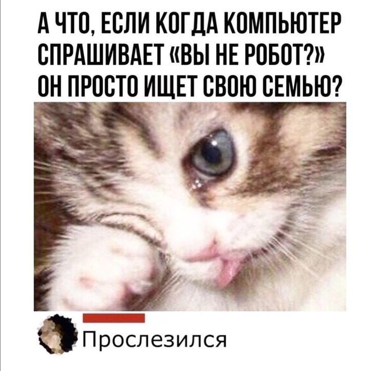 А ЧТО ЕСЛИ КОГДА КОМПЬЮТЕР СПРАШИВАЕТ ВЫ НЕ РПБПТ ОН ПРВВТП ИЩЕТ СВОЮ СЕМЬЮ