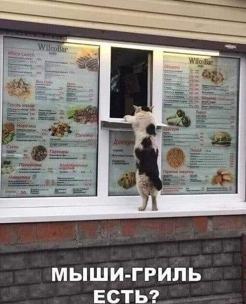 МЫШИ ГРИПЬ ЕСТЬ