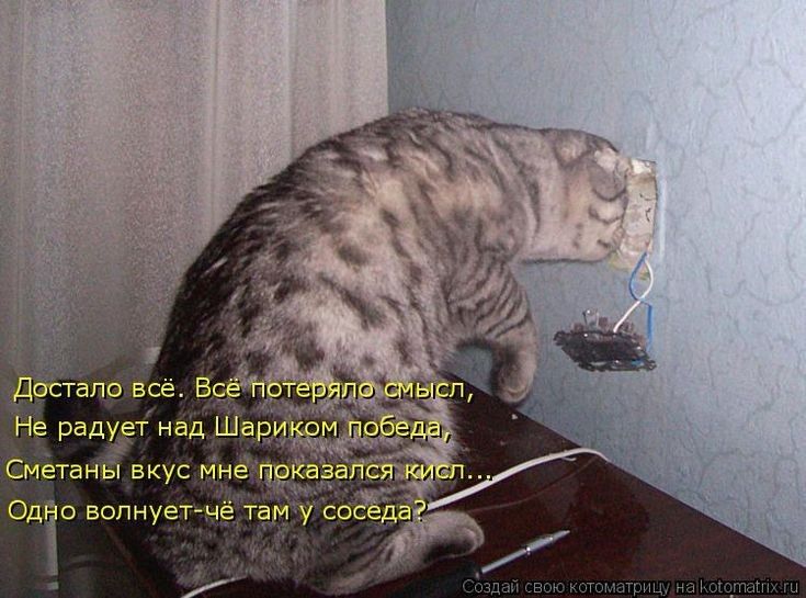СметаньЪ вкус мнецріеідв едто волнуетчё там у её