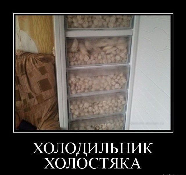 ХОЛОДИЛЫ ШК ХОЛОСТЯКА