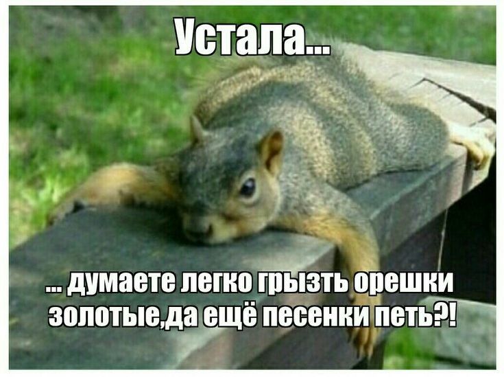 золотыедаещё песенки петь аг